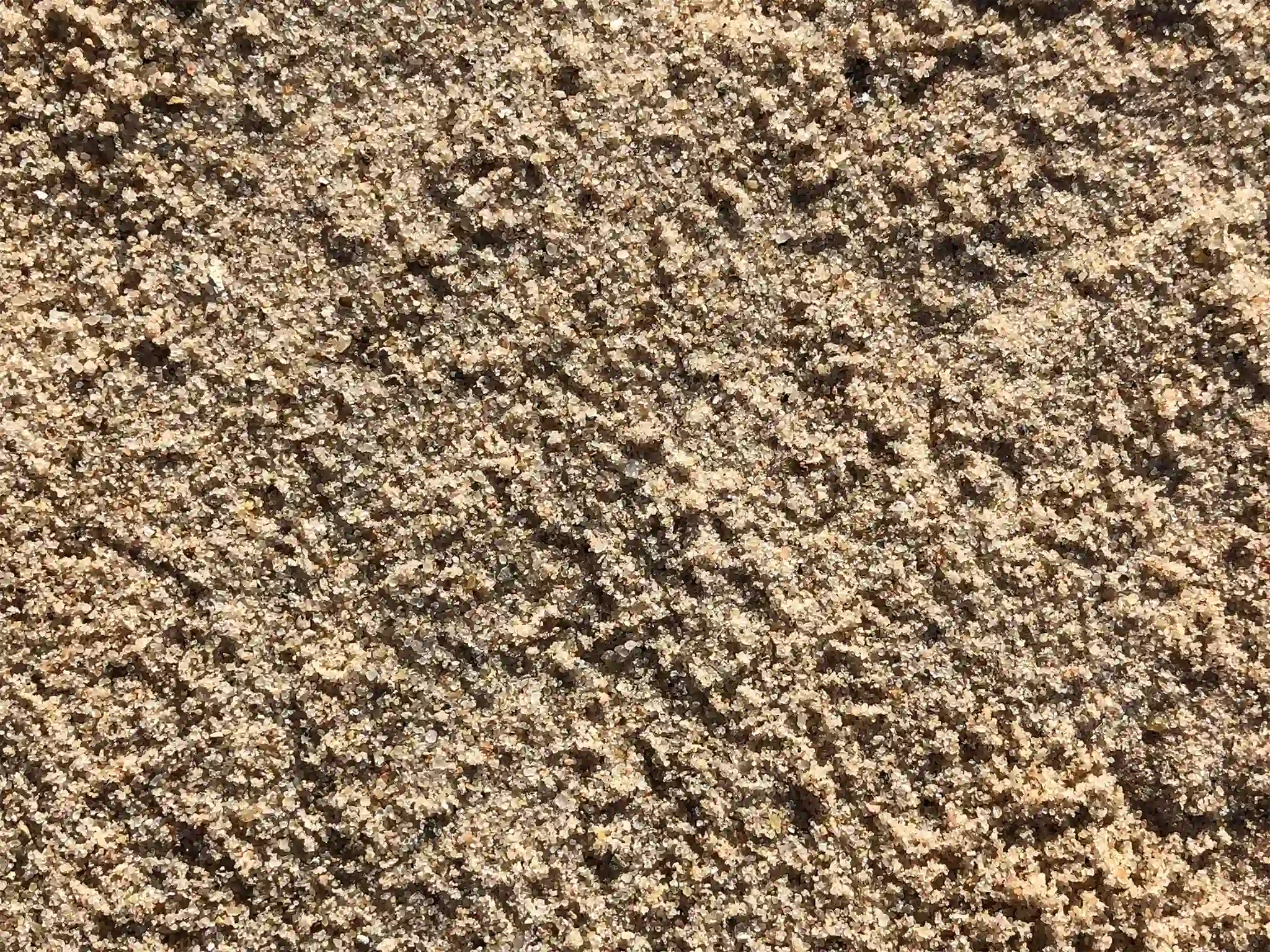 A close-up view of topdressing sand.