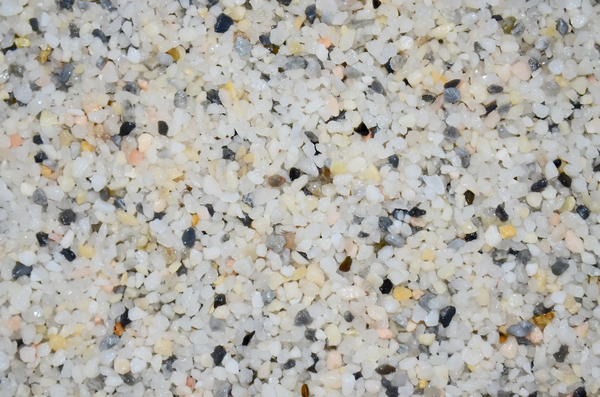 A close-up view of 816 White Pool Pebble.