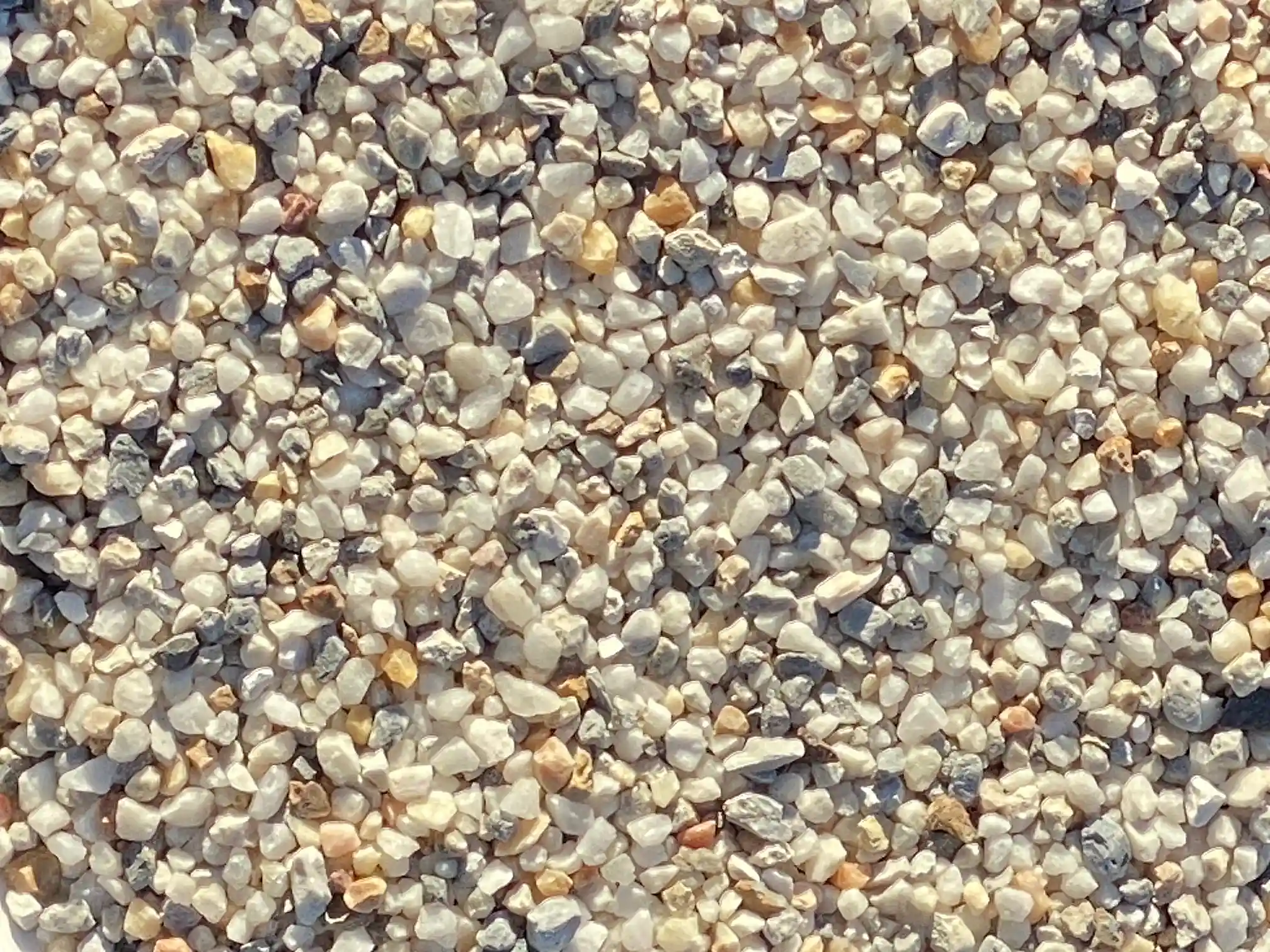 A close-up view of 6 10 White Pool Pebble.
