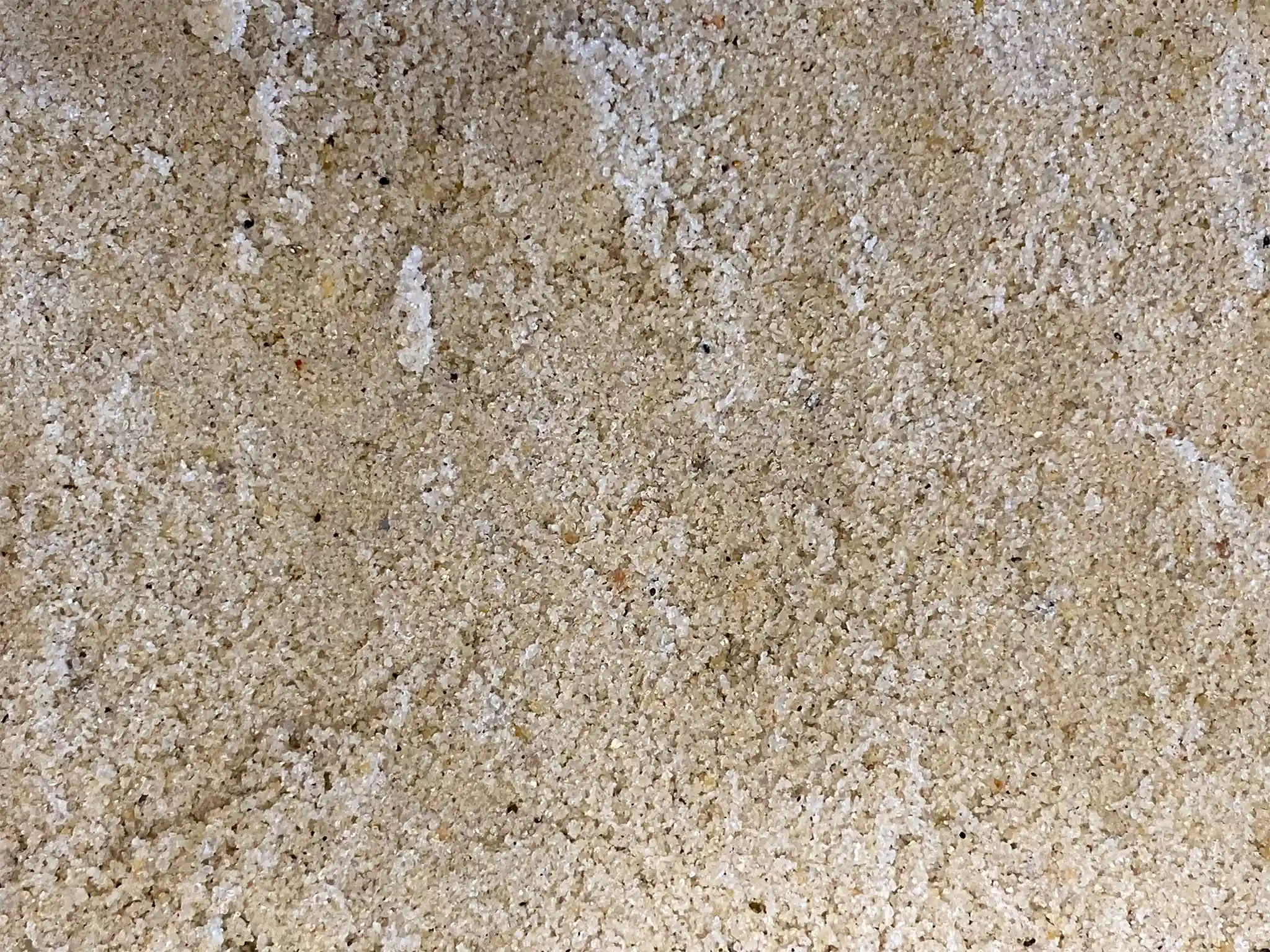 A close-up view of Pro Choice Tan sand.